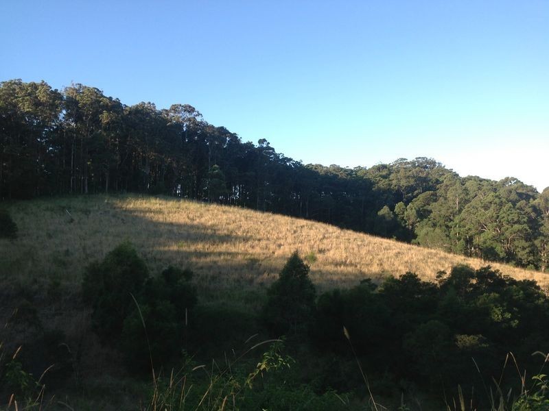 Hallidays Point NSW 2430