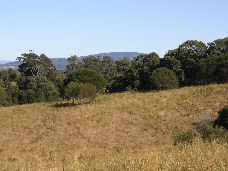 Hallidays Point NSW 2430