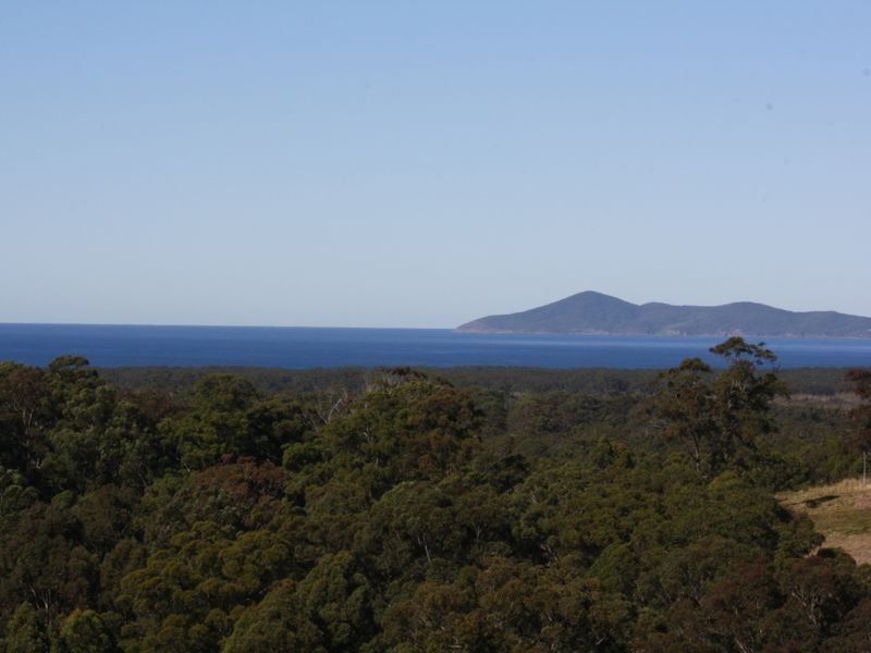 Hallidays Point NSW 2430