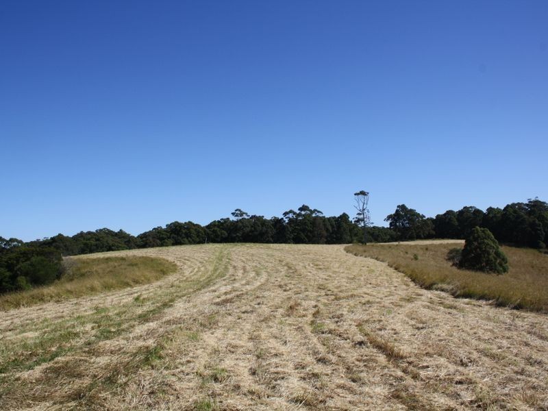 Hallidays Point NSW 2430