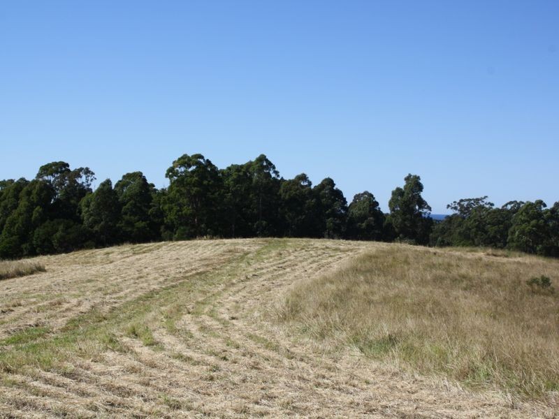 Hallidays Point NSW 2430