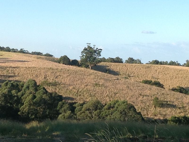 Hallidays Point NSW 2430