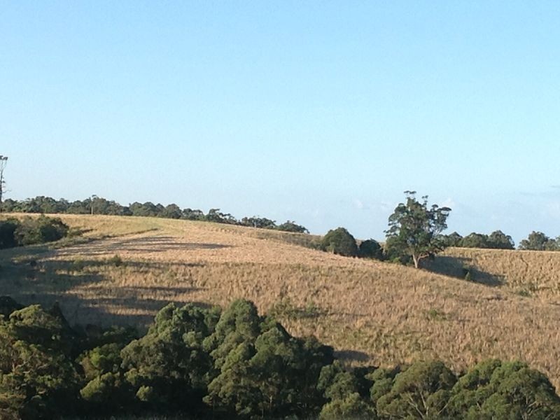 Hallidays Point NSW 2430