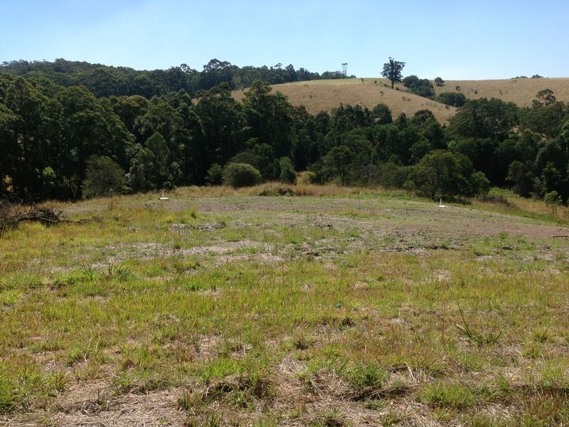 Tallwoods Village NSW 2430