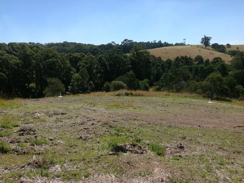 Tallwoods Village NSW 2430