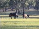 1817 The Lakesway, Rainbow Flat NSW 2430