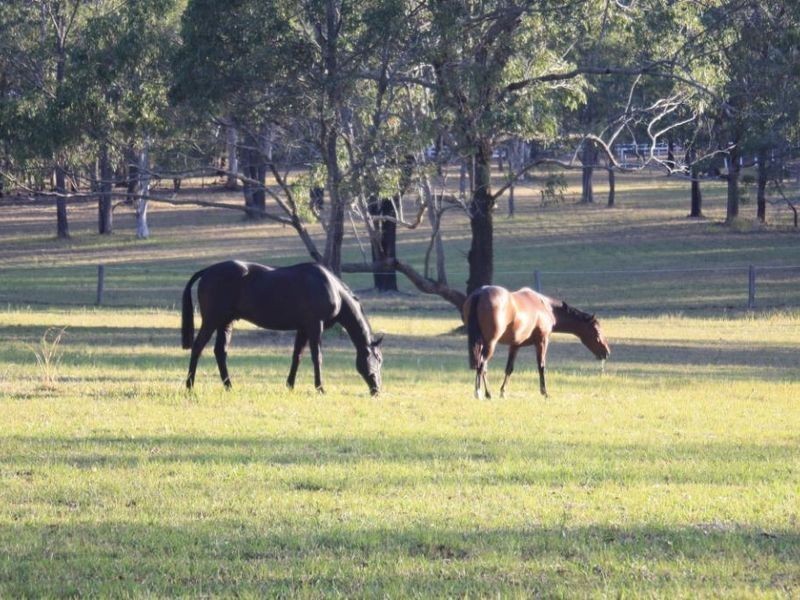 1817 The Lakesway, Rainbow Flat NSW 2430