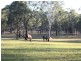 1817 The Lakesway, Rainbow Flat NSW 2430
