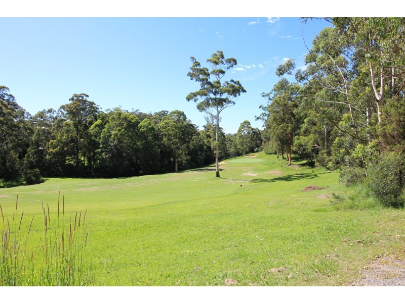 51 Hilltop Parkway, Tallwoods Village NSW 2430