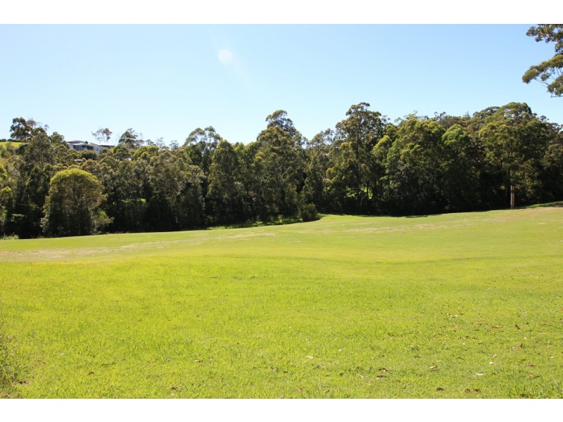 51 Hilltop Parkway, Tallwoods Village NSW 2430