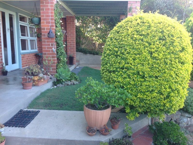 14 William Street, Black Head NSW 2430