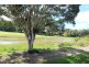 21 Grangewood Avenue, Tallwoods Village NSW 2430
