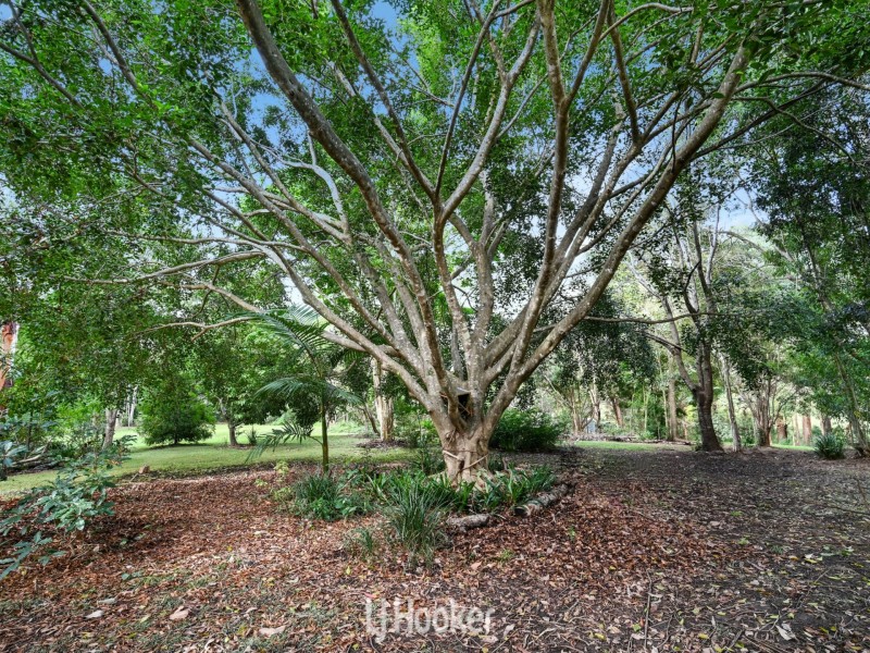 6 The Dell, Diamond Beach NSW 2430