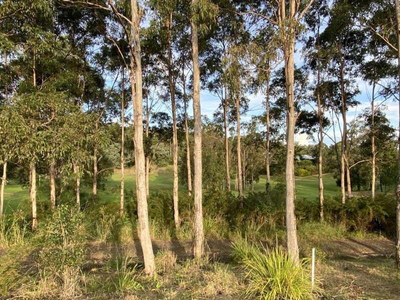 24 The Saddle, Tallwoods Village NSW 2430