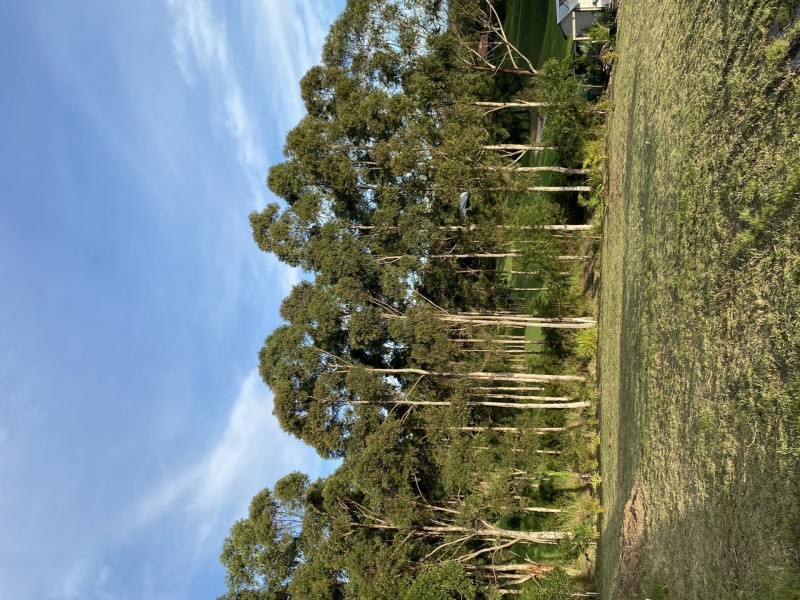 24 The Saddle, Tallwoods Village NSW 2430