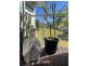 22 The Knoll, Tallwoods Village NSW 2430
