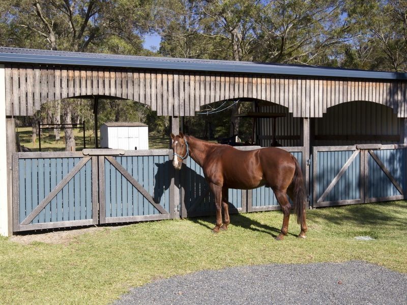 17 Woodlands Drive, Hallidays Point NSW 2430