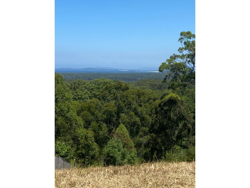 19 Eastern Valley Way, Tallwoods Village NSW 2430