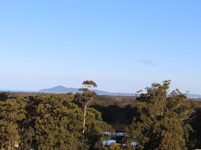 1 The Knoll, Tallwoods Village NSW 2430