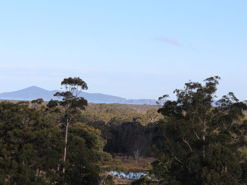 1 The Knoll, Tallwoods Village NSW 2430