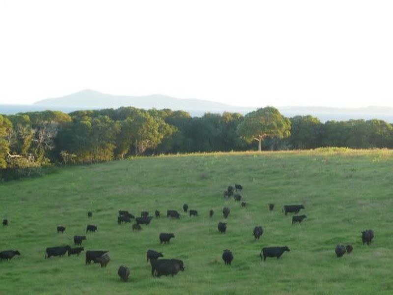 18 High Street, Hallidays Point NSW 2430