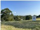77 Coastal view Drive, Tallwoods Village NSW 2430