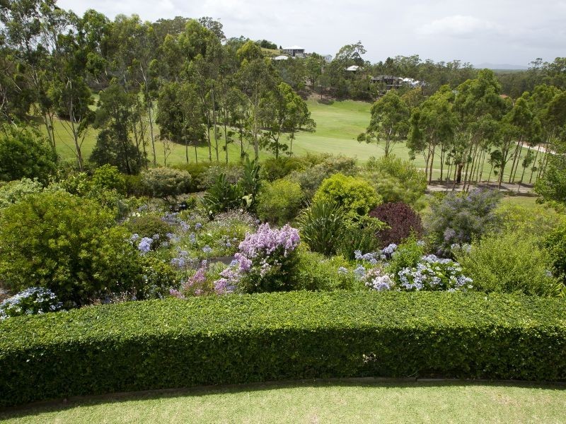 20 The Saddle, Tallwoods Village NSW 2430