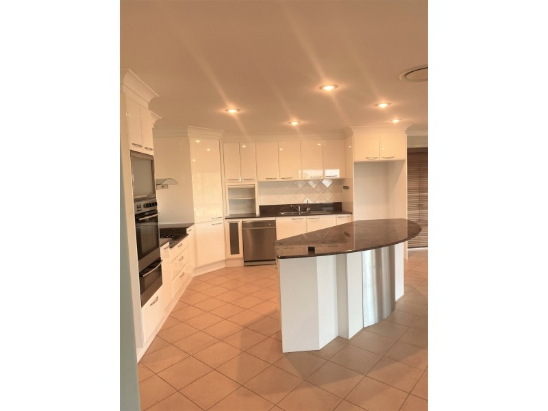 20 The Saddle, Tallwoods Village NSW 2430