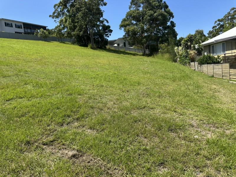 25 Hilltop Parkway, Tallwoods Village NSW 2430