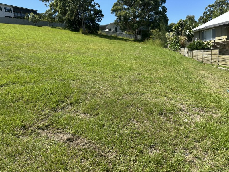 25 Hilltop Parkway, Tallwoods Village NSW 2430