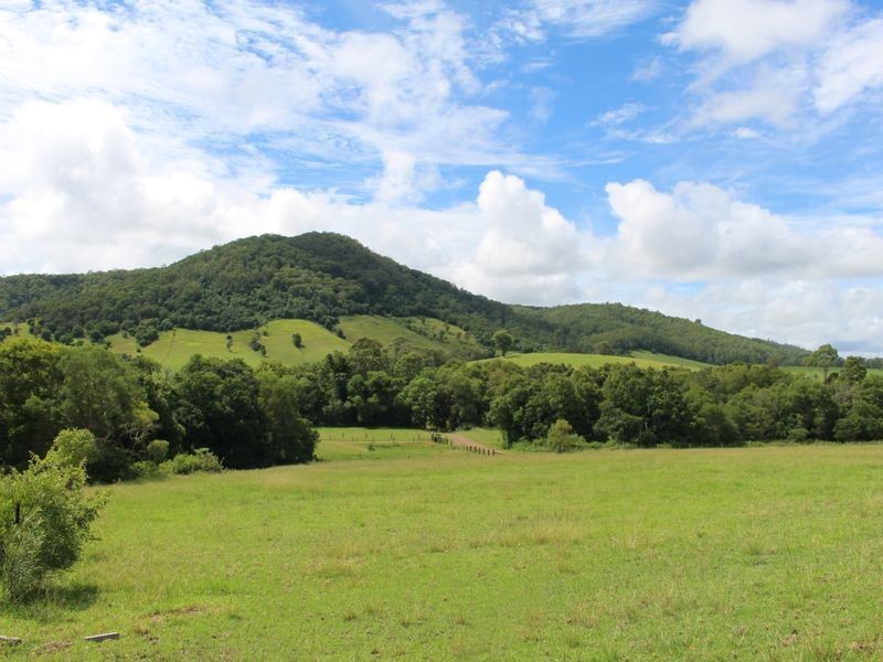 241 Kings Creek Road, Krambach NSW 2429