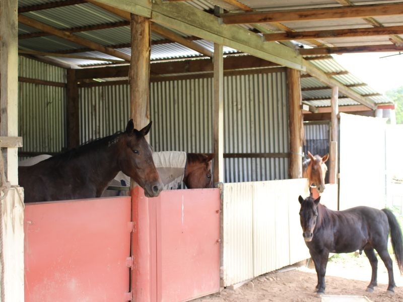 241 Kings Creek Road, Krambach NSW 2429