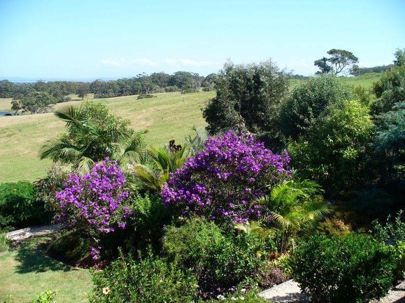 44 High Street, Black Head NSW 2430