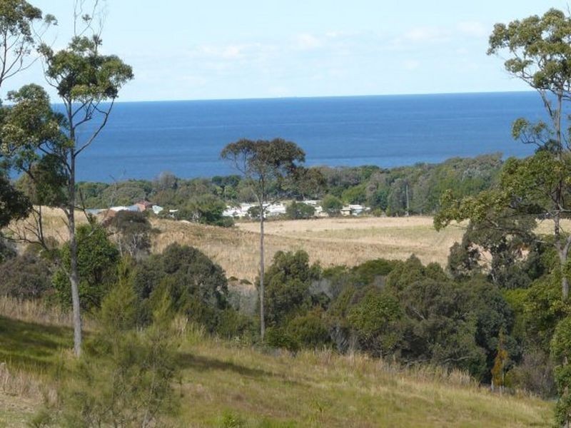 129 Redhead Road, Hallidays Point NSW 2430