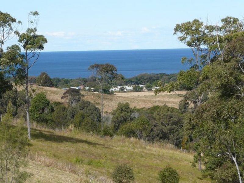 129 Redhead Road, Hallidays Point NSW 2430