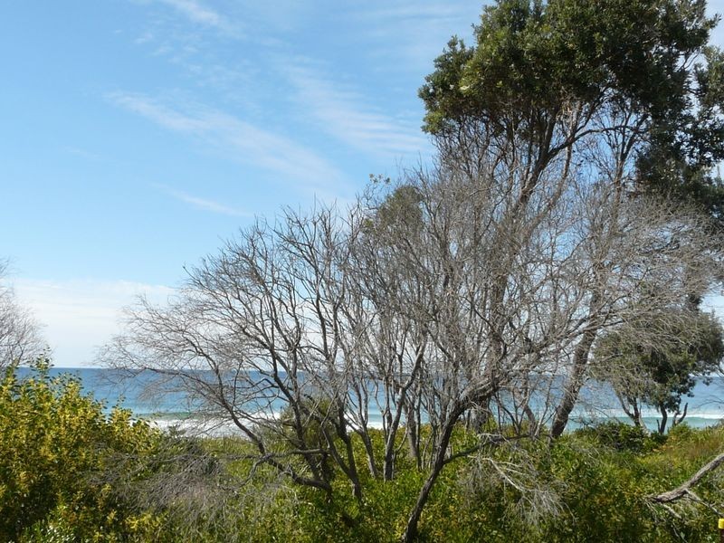 21 Jubilee Parade, Diamond Beach NSW 2430