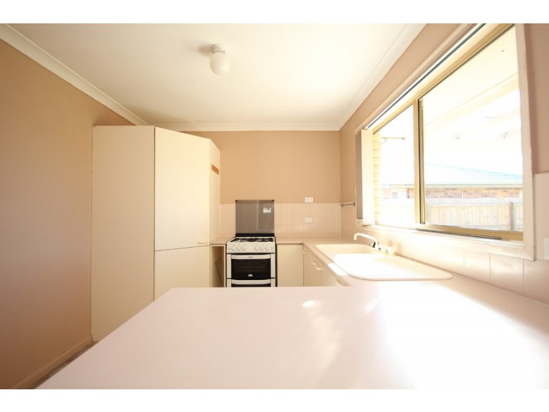 41 Torquay Crescent, Tingalpa QLD 4173