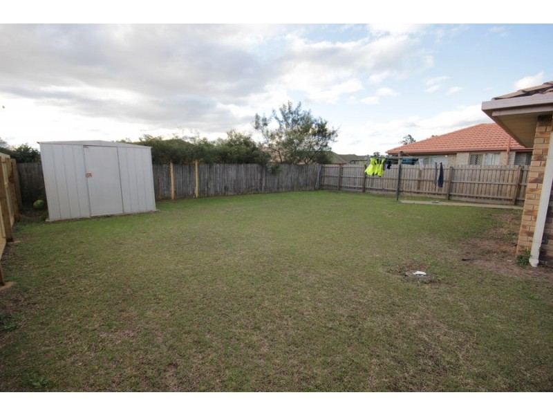 41 Torquay Crescent, Tingalpa QLD 4173