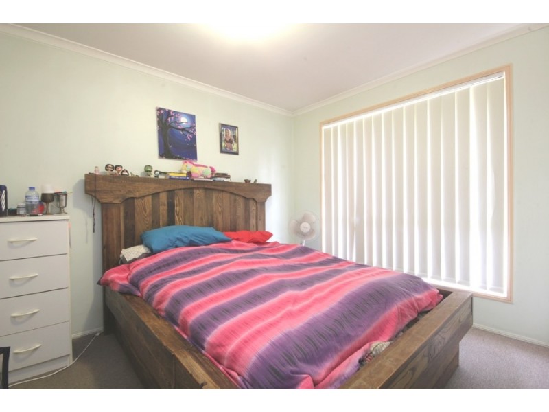 17 Soloman Crescent, Tingalpa QLD 4173