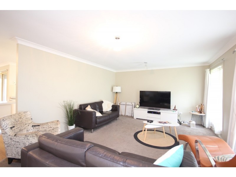 10 Pannikin Place, Tingalpa QLD 4173