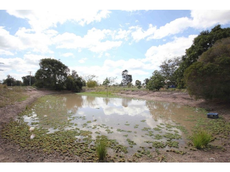 1 Primrose Place, Regency Downs QLD 4341