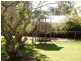 41 Palm Ave, Holland Park QLD 4121