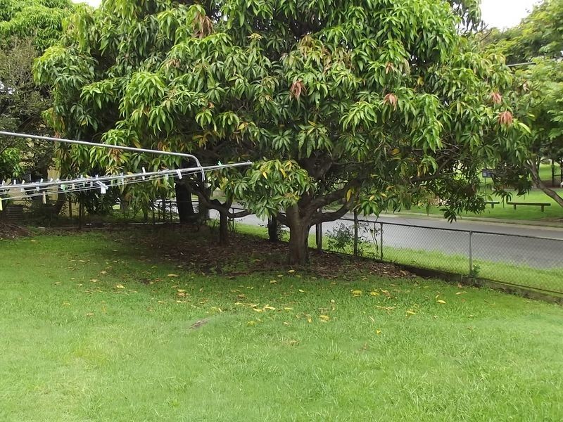 40 Arnold St, Holland Park QLD 4121