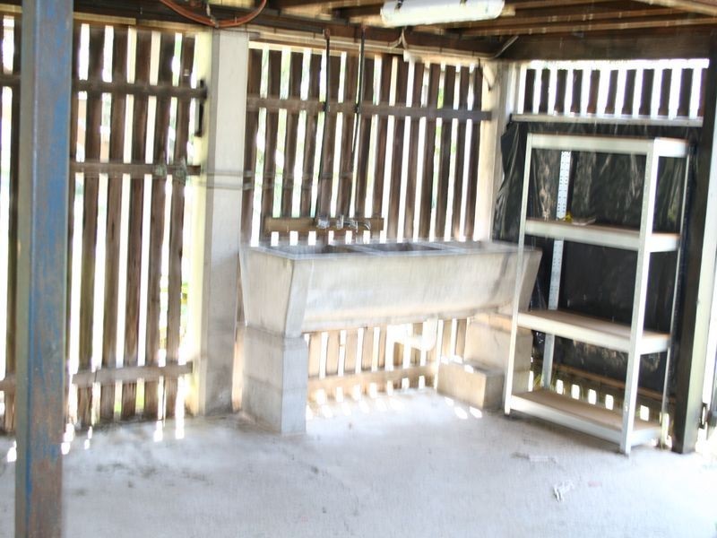 51 Palm Avenue, Holland Park West QLD 4121