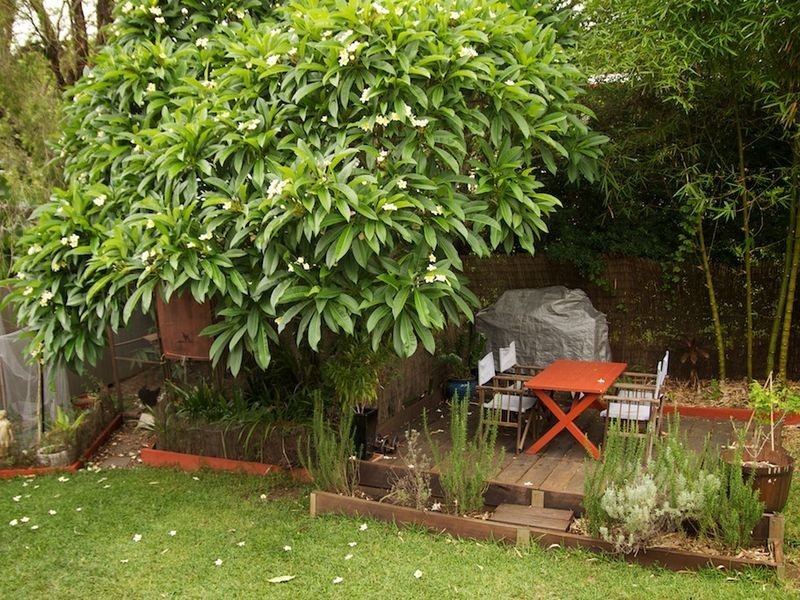 134 Bapaune Road, Holland Park West QLD 4121