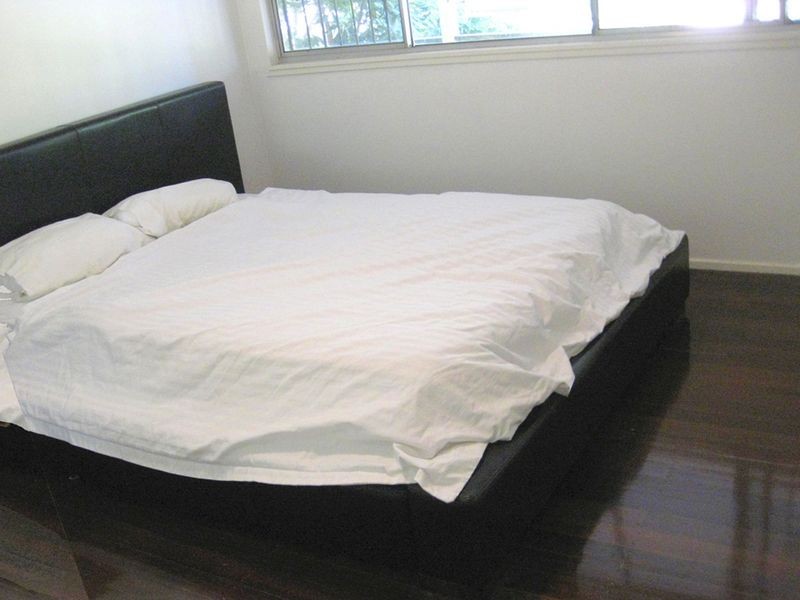 53 Latimer Street, Holland Park QLD 4121