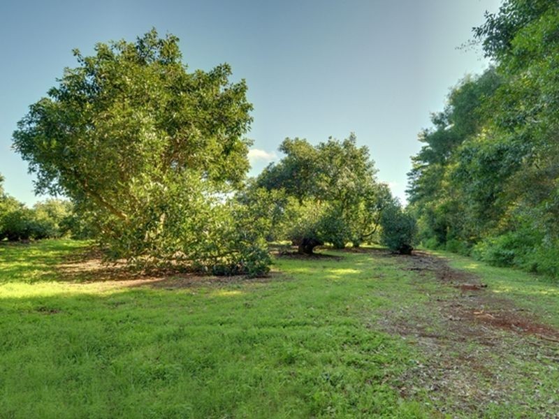 85 Burgess Avenue, Maleny QLD 4552