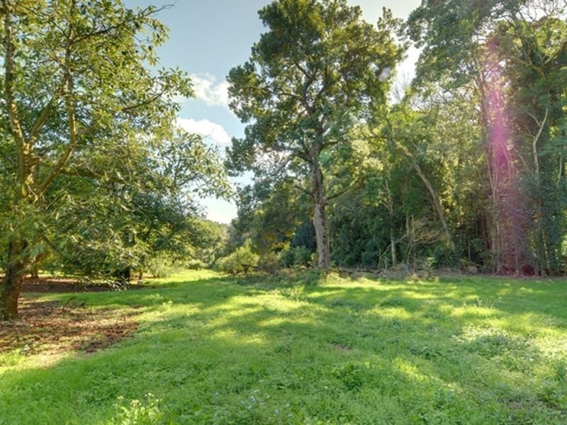 85 Burgess Avenue, Maleny QLD 4552