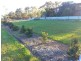 141 Frizzo Road, Palmview QLD 4553