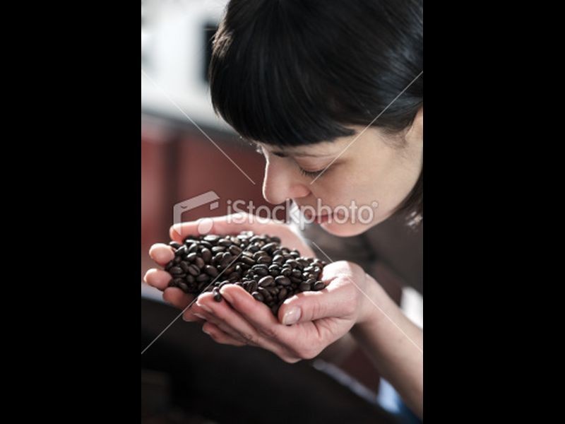 6/614 Nicklin Way, Wurtulla QLD 4575